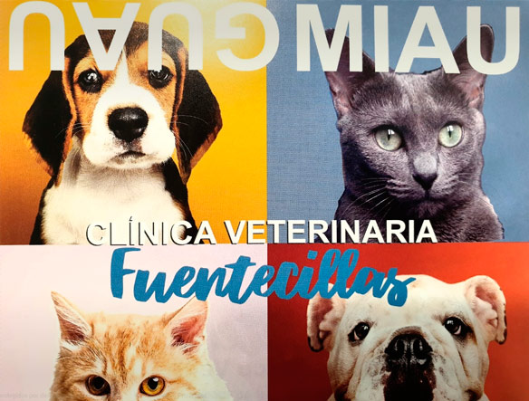 Clínica Veterinaria Fuentecillas afiche perros y gatos