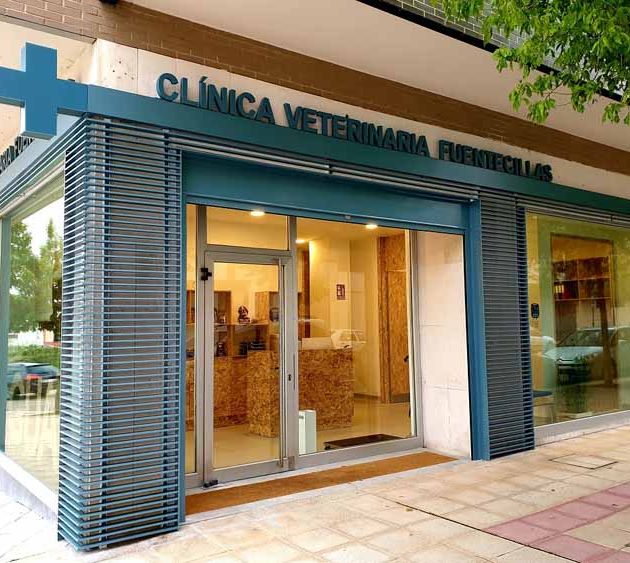 Clínica Veterinaria Fuentecillas clínica veterinaria 2